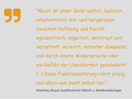 "Meist ist unser Geist unstet, launisch, unbeherrscht, hin- und hergerissen zwischen Hoffnung und Furcht, egozentrisch, zögerlich, zerstreut und verzettelt, verwirrt, mitunter abwesend und durch innere Widersprüche oder ein Gefühl der Unsicherheit geschwächt (…) Diese Funktionsstörung rührt einzig und allein vom Geist selbst her."  (Matthieu Ricard, buddhistischer Mönch u. Molekularbiologe)   