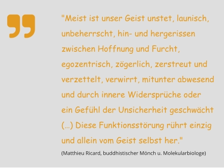"Meist ist unser Geist unstet, launisch, unbeherrscht, hin- und hergerissen zwischen Hoffnung und Furcht, egozentrisch, zögerlich, zerstreut und verzettelt, verwirrt, mitunter abwesend und durch innere Widersprüche oder ein Gefühl der Unsicherheit geschwächt (…) Diese Funktionsstörung rührt einzig und allein vom Geist selbst her."  (Matthieu Ricard, buddhistischer Mönch u. Molekularbiologe)   
